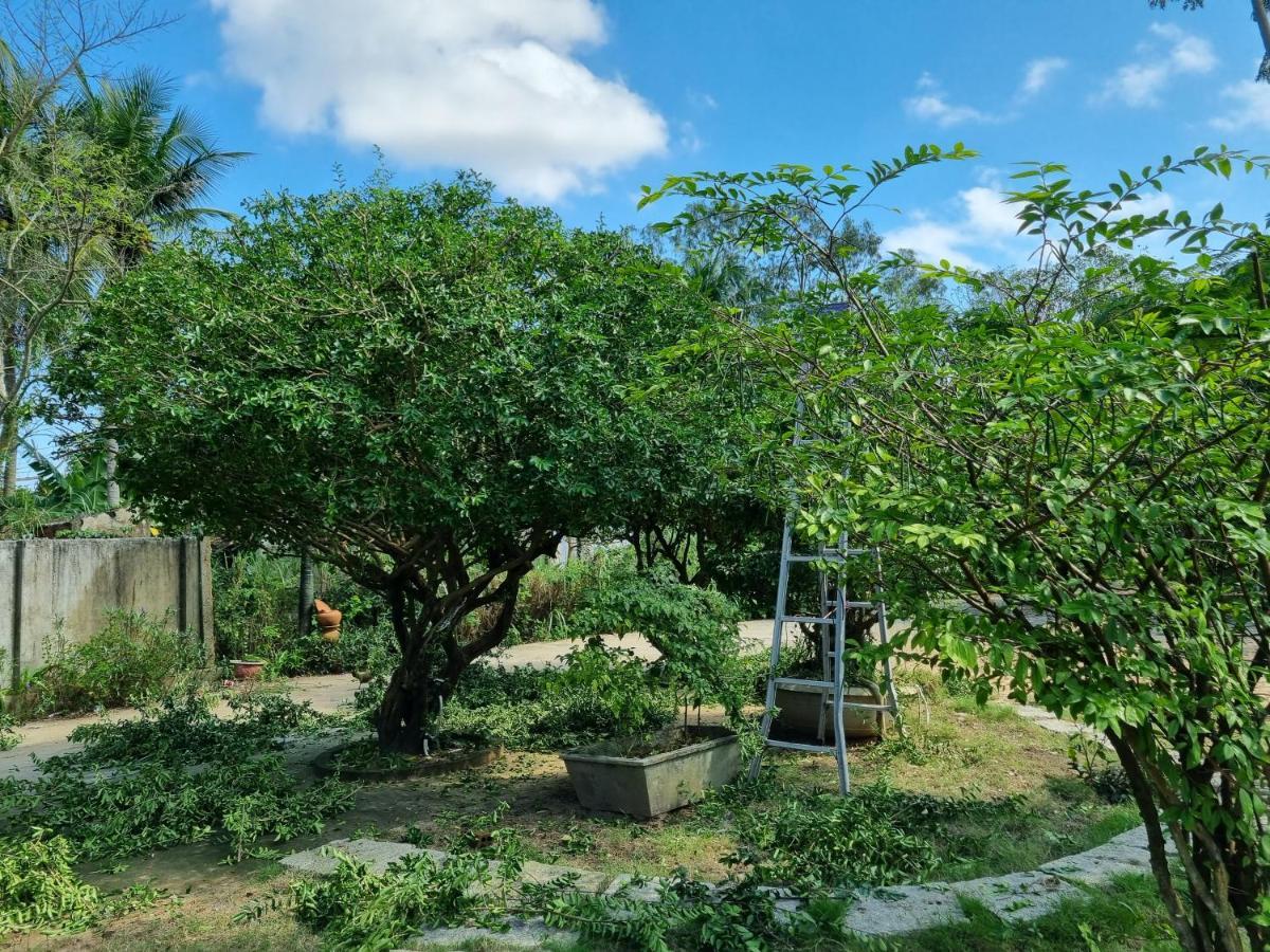 Katie'S Homestay Dong My 외부 사진
